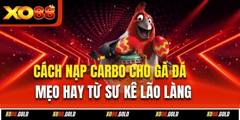 Cách nạp carbo cho gà đá nâng cao năng lượng