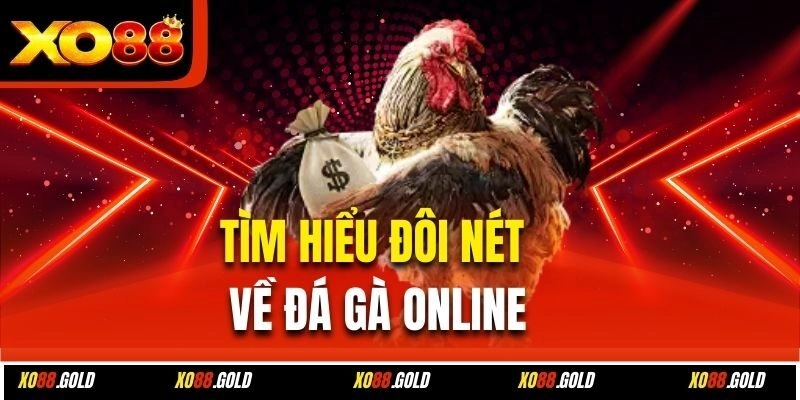 Tìm hiểu đôi nét về đá gà online