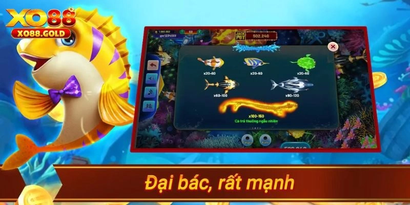 Hướng dẫn về quy trình chơi Bắn Cá Hải Tặc cho người mới