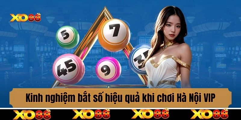 Kinh nghiệm bắt số hiệu quả khi chơi Hà Nội VIP