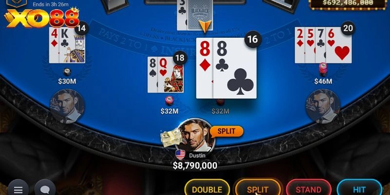 Các lựa chọn cơ bản